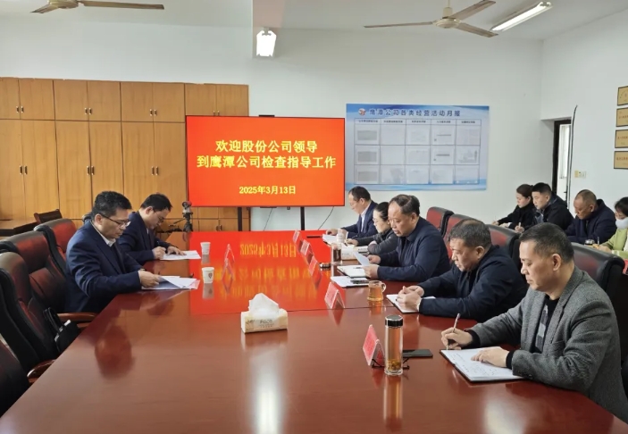 肖良芝一行到鷹潭公司檢查指導